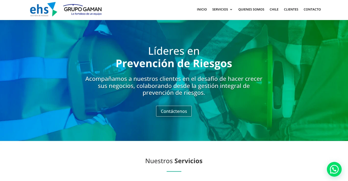 ehs-grupogaman-anterior